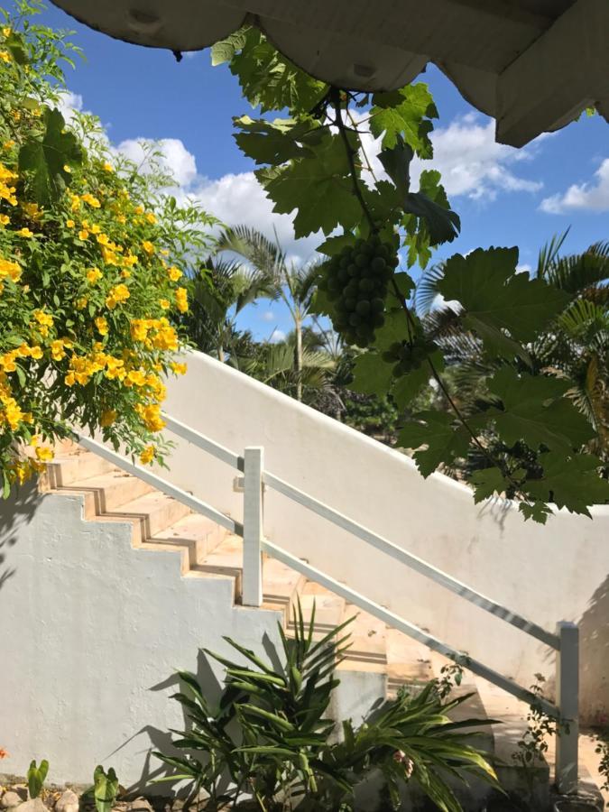 Pousada Papaya Jijoca de Jericoacoara Exteriér fotografie