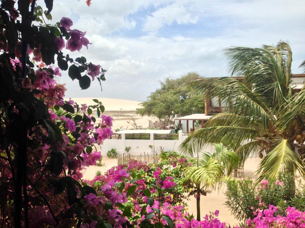 Pousada Papaya Jijoca de Jericoacoara Exteriér fotografie